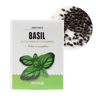 �̴� ������ ���� ����- ����