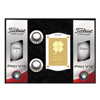 Ÿ��Ʋ����Ʈ PROV1x 6�� ����Ŀ 2�� ���� ������