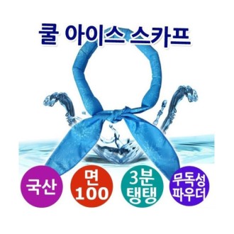 �̽�Ʈ���� ������ ���̽� ��ī��