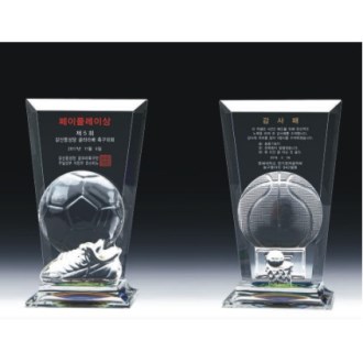 ũ����Ż Ʈ���� 307