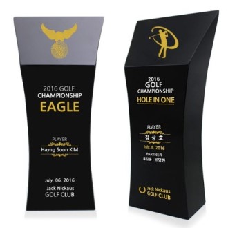 KC394 ������ǽ� �����̾� ���� ũ����Ż Ʈ���� 2